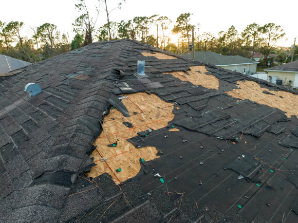 Best Skylights  in Columbus, NC